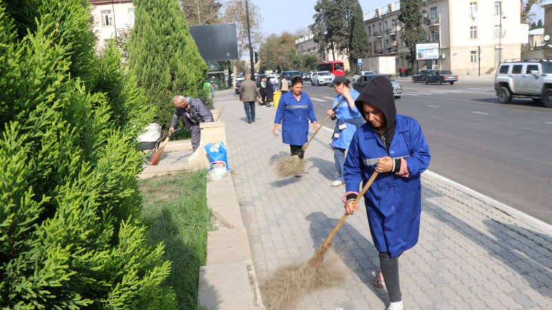 Gəncədə növbəti təmizlik aksiyası keçirilib