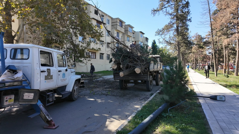 Gəncədə güclü külək bir sıra fəsadlar törədib