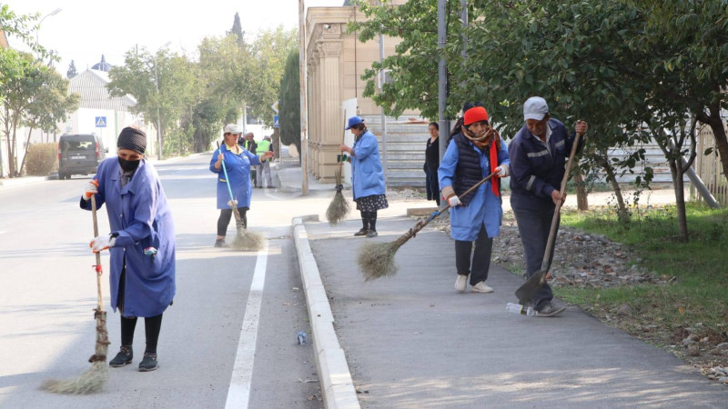 MKTİB növbəti təmizlik aksiyası təşkil edib