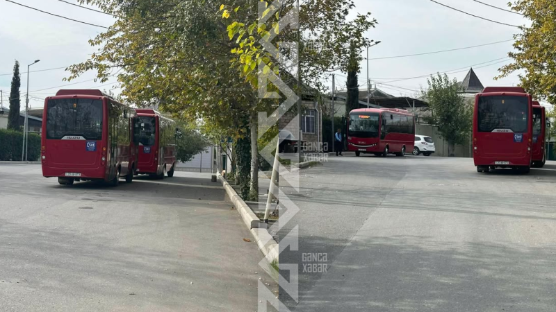 Gəncədə qaydaları heçə sayan avtobuslar - ŞİKAYƏT