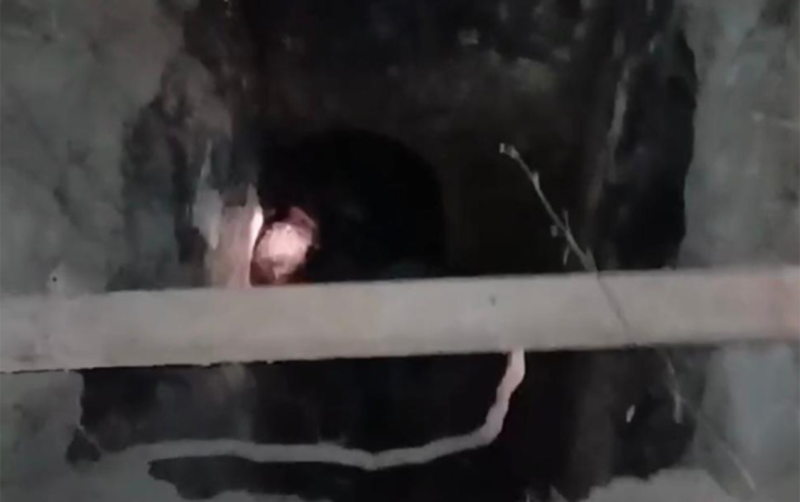 65 yaşlı kişi quyuya düşdü