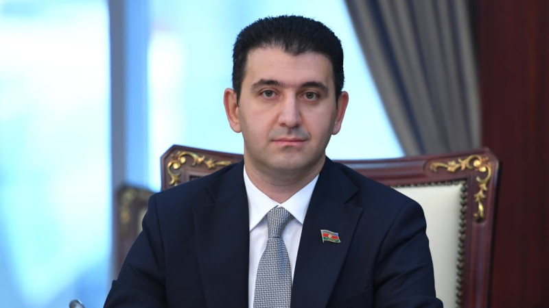 Gəncəli deputat: Sahibsiz heyvanlar üçün sığınacaqlar tikilməlidir