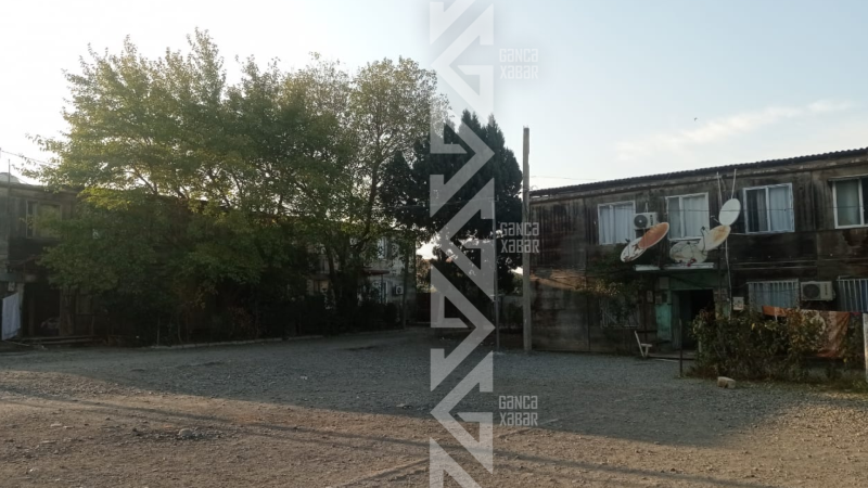 Gəncədə hələ də taxtadan tikilən evlər var - TƏHLÜKƏ