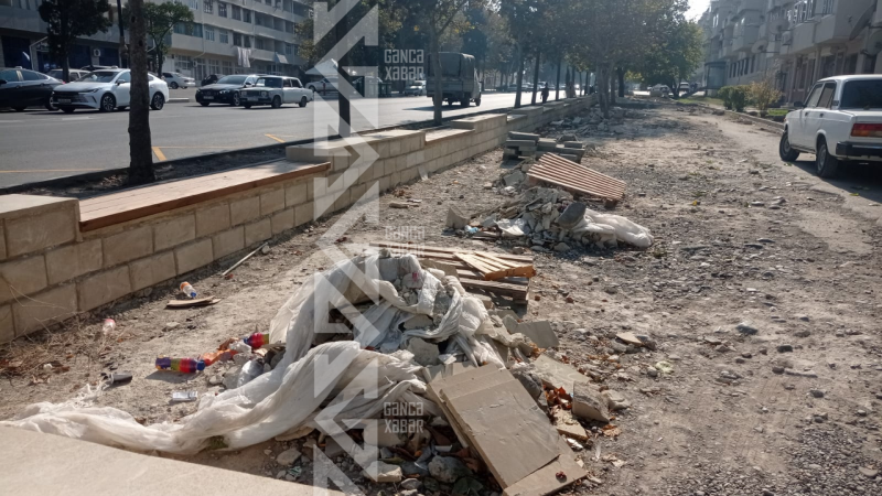 Gəncədə abadlıq işləri görən işçilərə maaşları verilməyib – İDDİA