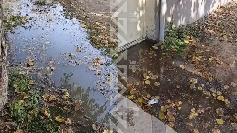 Gəncədə illərdir həll olunmayan qəzalı su borusu problemi