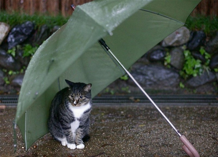 Sabah hava necə olacaq?