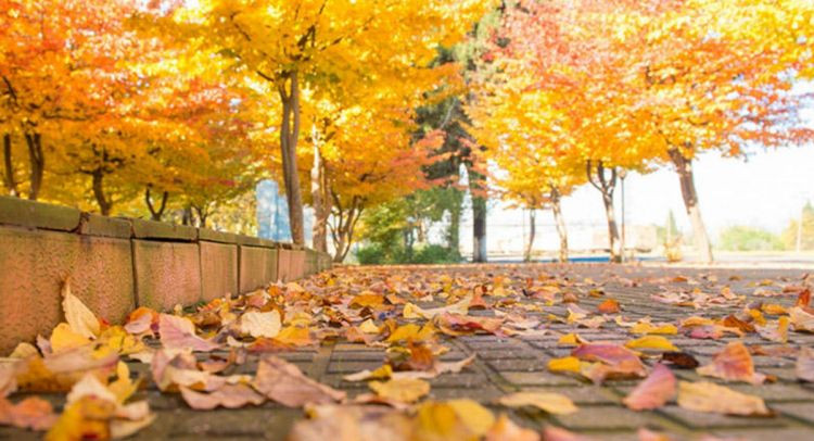 Sabah hava necə olacaq? - PROQNOZ