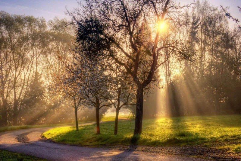 Sabah 21 dərəcə isti olacaq - PROQNOZ