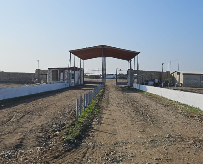 Göygöldə heyvan bazarında infrastruktur yenilənir