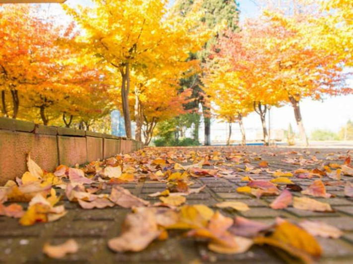 Sabah hava yağmursuz olacaq - PROQNOZ