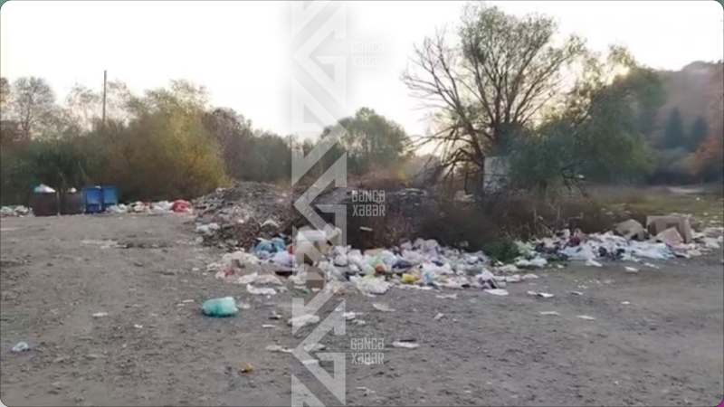 Gəncənin mərkəzində aşıb-daşan zibillik