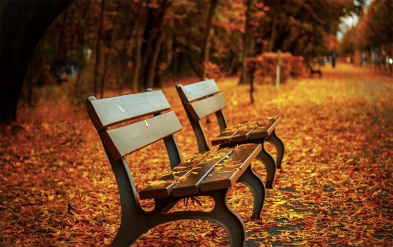 Sabah hava necə olacaq? - PROQNOZ