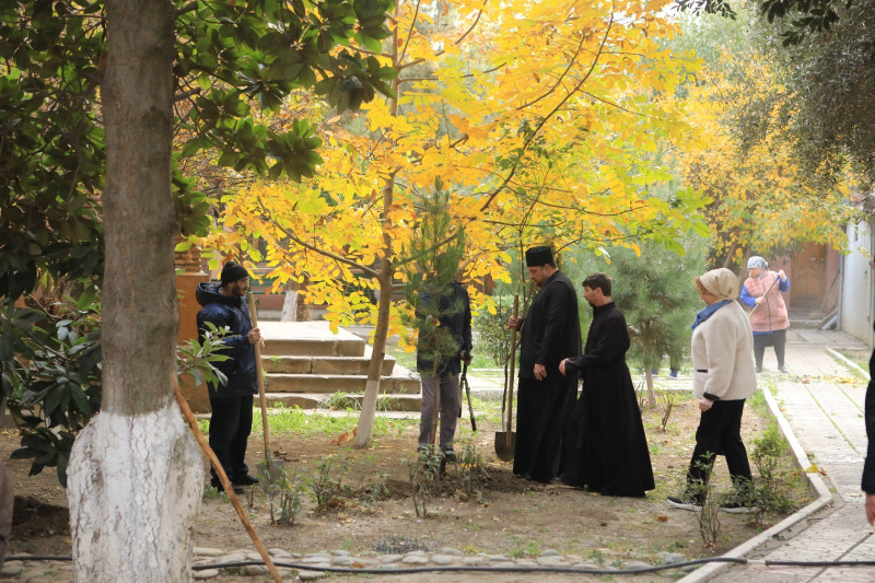 Gəncədə Yaşıl gələcək naminə aksiya