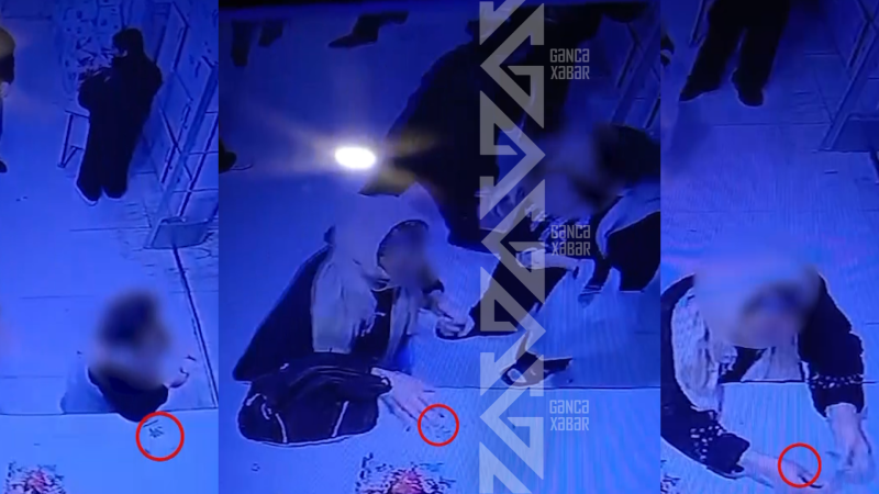 Gəncədə AĞBİRÇƏKDƏN gözlənilməz addım, oğurluq etdi