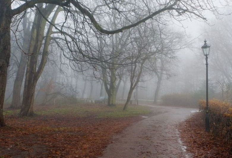 Sabah duman olacaq, külək əsəcək - PROQNOZ