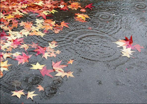 Həftə sonu Gəncədə hava necə olacaq? - PROQNOZ