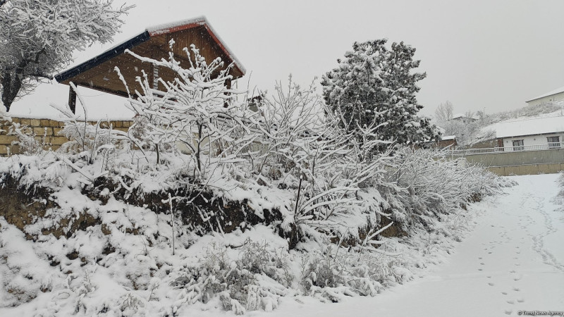 Qış fəslinin GƏNCƏYƏ daxil olma vaxtı açıqlanıb