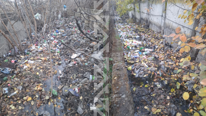 Gəncədə evləri çirkab sular basıb – Tədbir görülmür