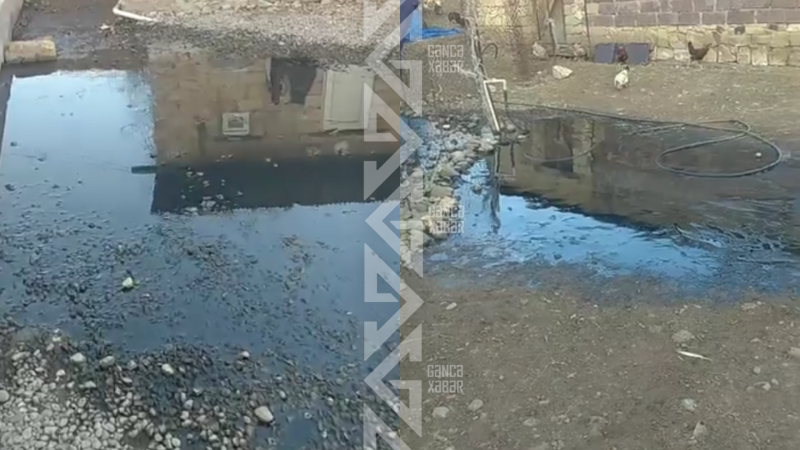 Gəncədə çirkab suları yaşayış evlərini basıb