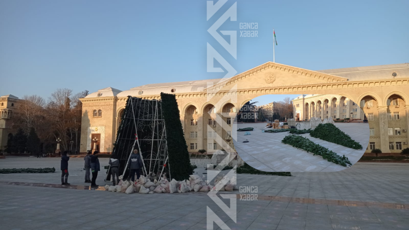 Gəncədə YOLKA QURULUR - NƏHAYƏT