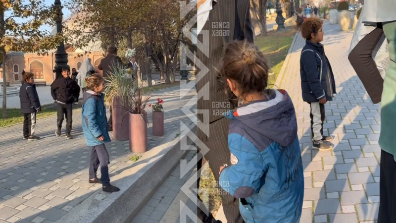 Gəncədə QARAÇILARI toplayıb şəhərdən çıxardılar