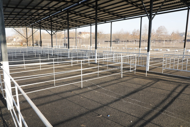 Göygöl heyvan bazarında yenidənqurma işləri yekun mərhələdədir