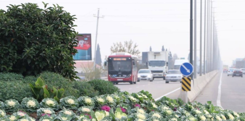 Gəncədə 11 nömrəli marşrut 23:00-dək fəaliyyətdədir