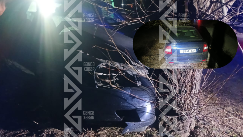 Maşın ağaca çırpıldı – ata və oğlu öldü