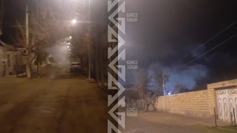 Gəncədə zavod havanı korlayır - İDDİA