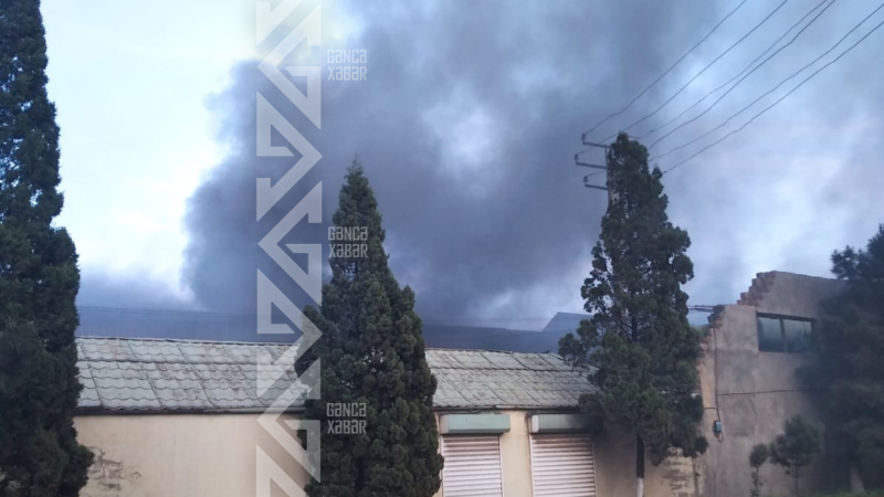 Gəncədə zavod rəhbəri: Havanı biz korlamırıq…