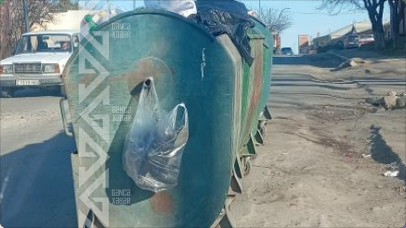 Gəncədə  zibil konteynerləri avtomobil yoluna düzülüb - ŞİKAYƏT