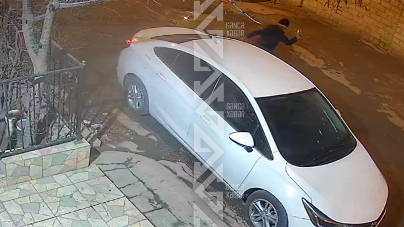 Gəncədə kişi qonşularına kabus yaşadır
