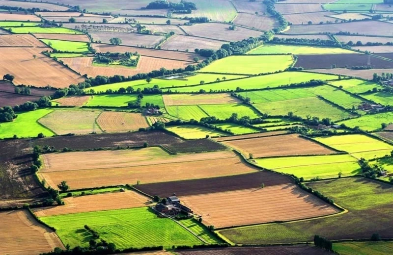 Gəncədə bəzi torpaq sahələrinin kateqoriyası dəyişdirilib