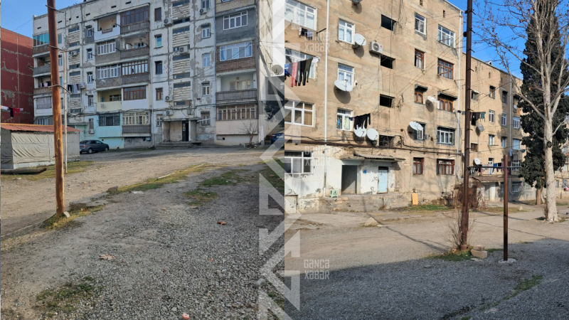 Gəncədə şəhid ailəsinin yaşadığı binanın ərazisi baxımsız vəziyyətdədir