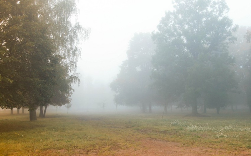 Bəzi rayonlara qar yağacaq, duman olacaq