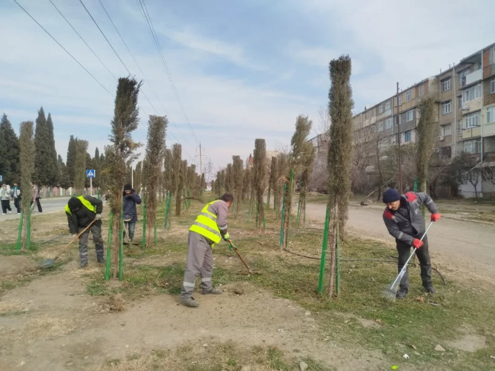 Gəncədə təmizlik aksiyası keçirilib