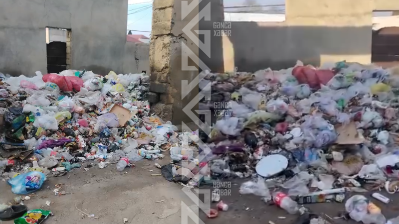 Gəncədə yarımtikili yenə zibilliyə çevrilib