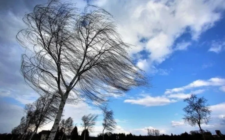 Duman olacaq, külək güclənəcək - SABAHIN HAVASI