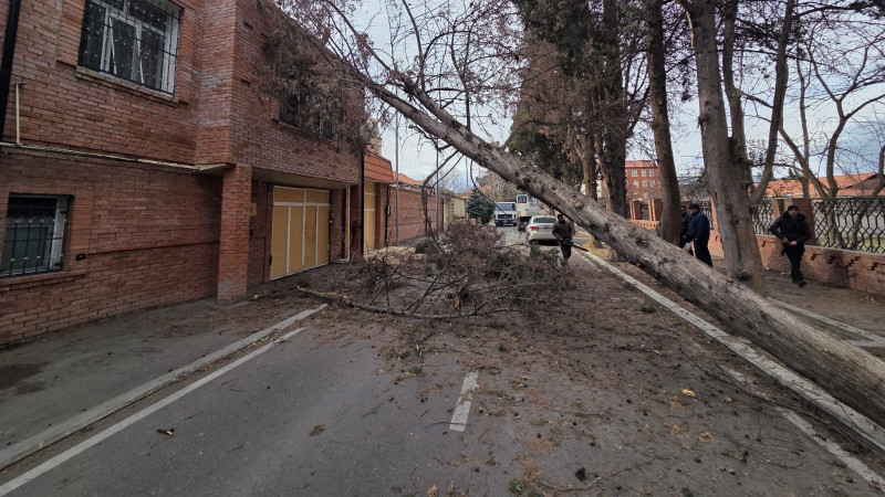 Gəncədə 10-a yaxın binanın dam örtüyü zədələnib