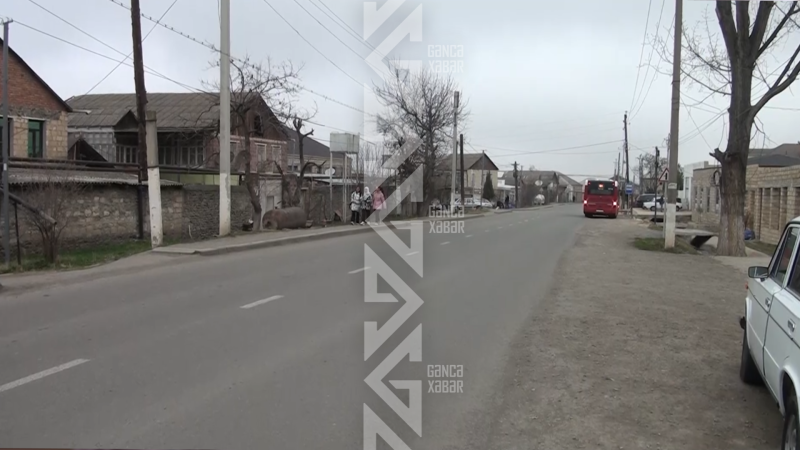 Göygöldə iki kəndin ortaq problemi: Yollar qaranlığa qərq olub