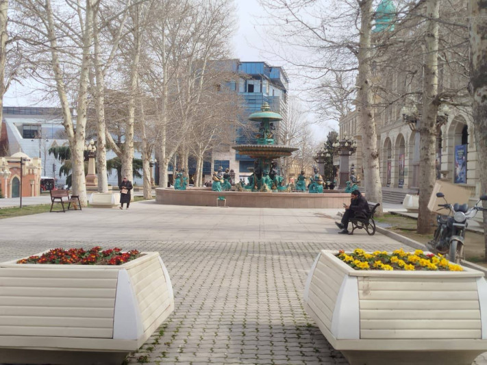 Gəncədə yaz abu-havasına rəng qatan güllər əkilib