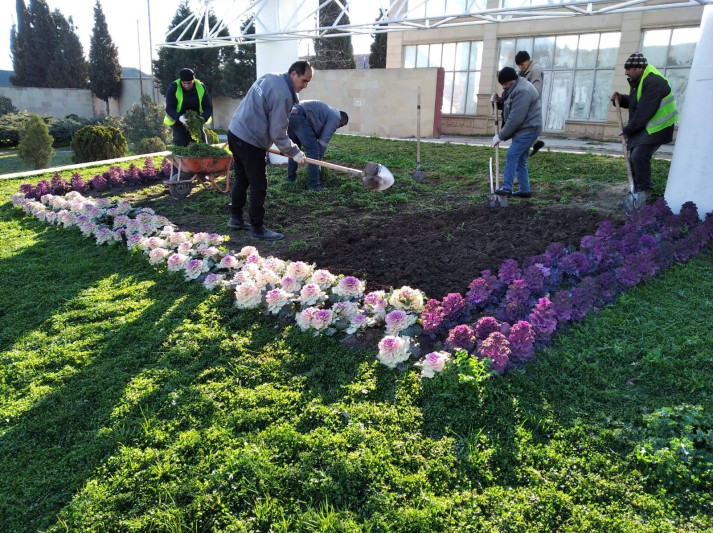 Gəncə güllərə bürünür