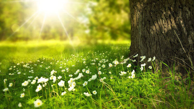 Sabah 17 dərəcə isti olacaq - PROQNOZ