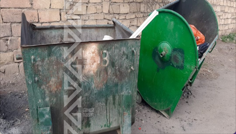 Gəncədə bu küçə zibil qutularına HƏSRƏT QALIB