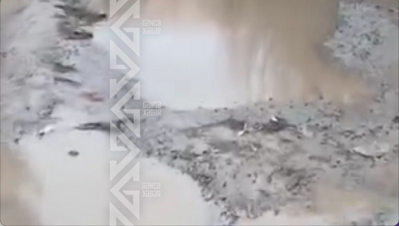 Yeni Gəncə qəsəbəsinin sakinləri boğaza yığılıb