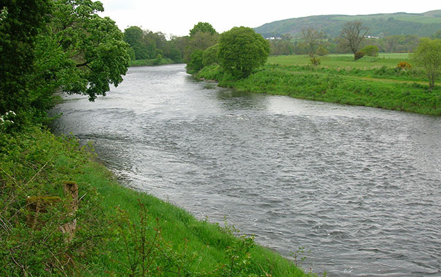 Kürdə köməksiz qalan ailə üzvlərinin adları məlum olub - YENİLƏNİB