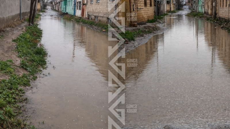 Gəncənin Venesiyadan nəyi əksikdir?