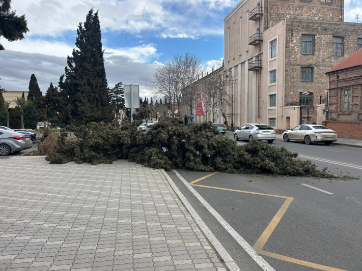 Gəncədə aprelin 4-dən güclü külək ƏSƏCƏK