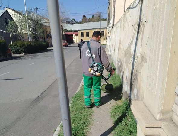 Gəncə alaq otlardan təmizlənir