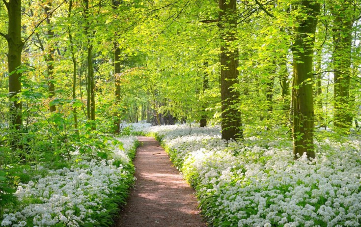 Sabah 23 dərəcə isti olacaq - PROQNOZ